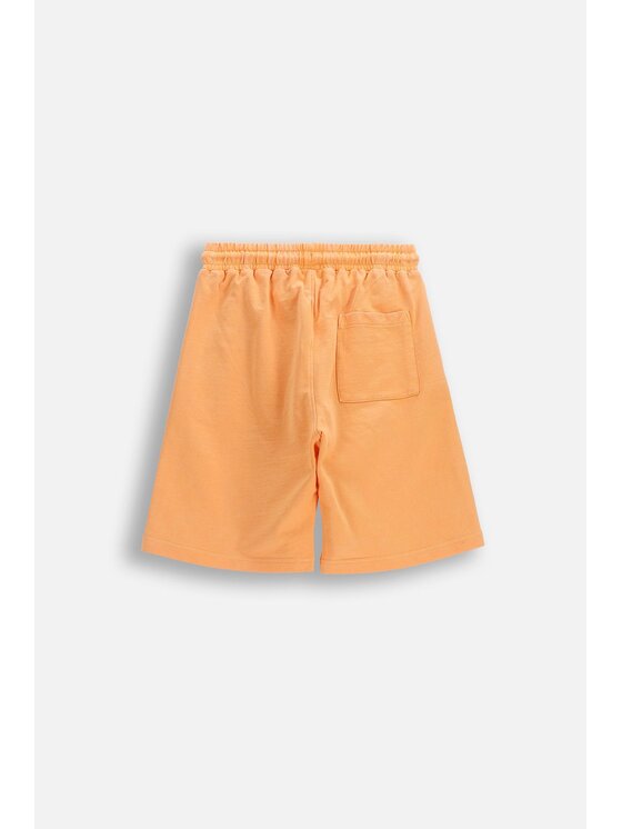 Coccodrillo Coccodrillo Šortky z materiálu WC6120501IBJ-006 Oranžová Regular Fit