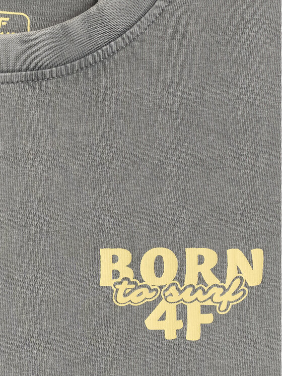 4F 4F T-Shirt WAVE RIDERS CLUB Szary Loose Fit