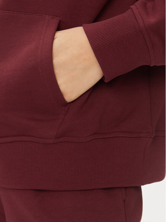 Gant Gant Pluus Rel Shield Zip Hoodie 4204665 Bordoopunane Relaxed Fit