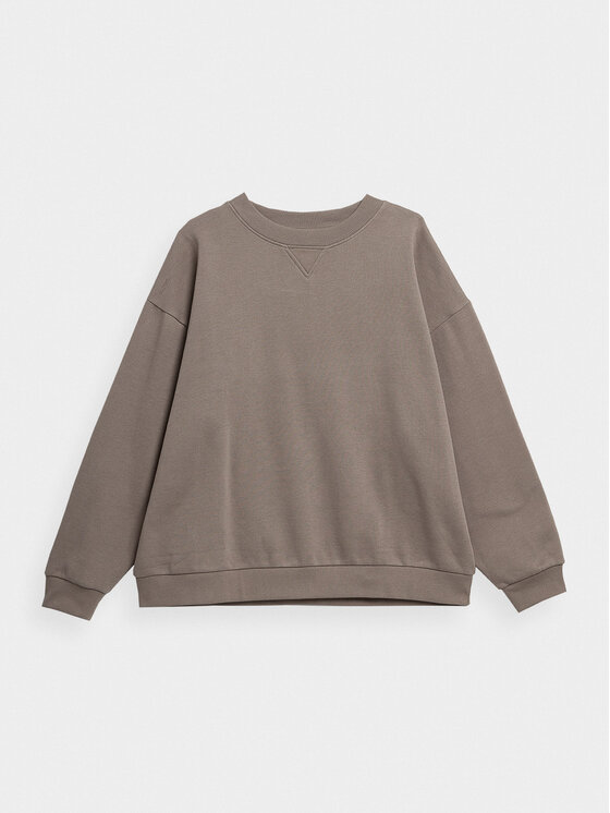 Outhorn Jopa OTHAW23TSWSF0733 Rjava Regular Fit