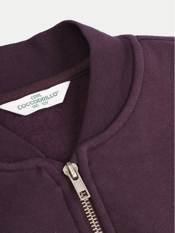 Coccodrillo Coccodrillo Bluza ZC4132202AGJ Brązowy Regular Fit