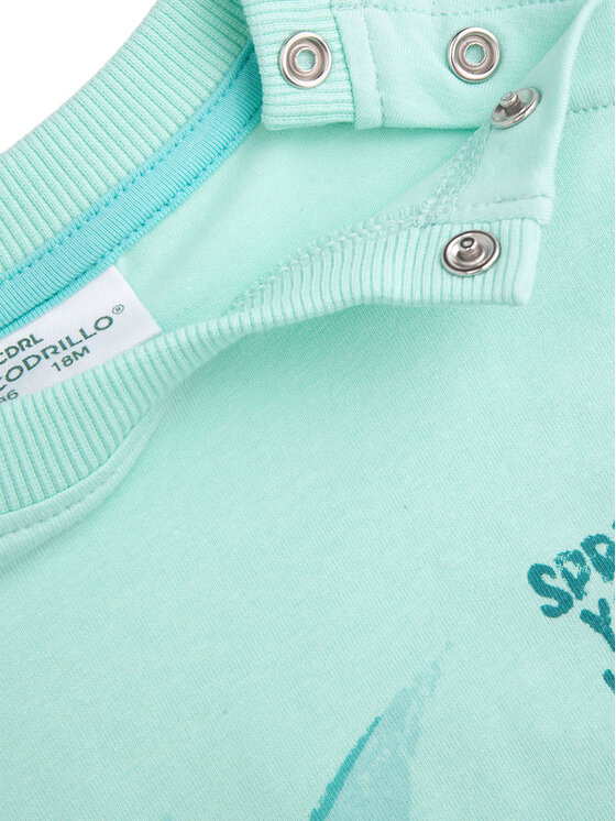 Coccodrillo Coccodrillo Суитшърт WC5143101DBN Зелен Regular Fit