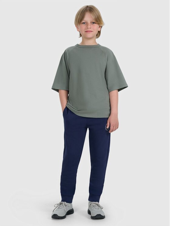 4F 4F T-Shirt 4FJWAW25TTSHM2411-23S Szary Active Fit