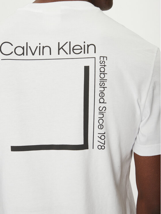Calvin Klein Calvin Klein T-Shirt Linear Box Logo K10K114152 Biały Regular Fit