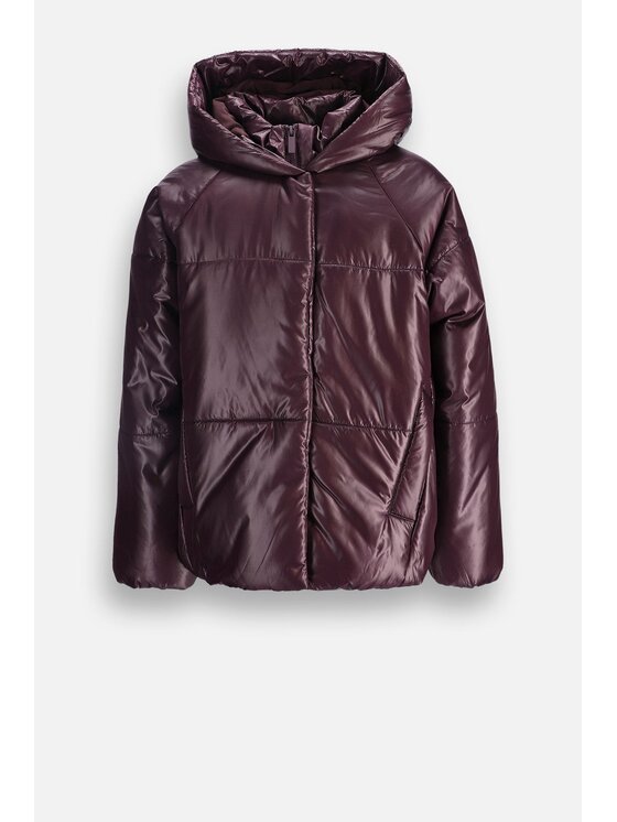 Coccodrillo Coccodrillo Zimné bundy ZC6152106OGJ-017 Bordová Regular Fit