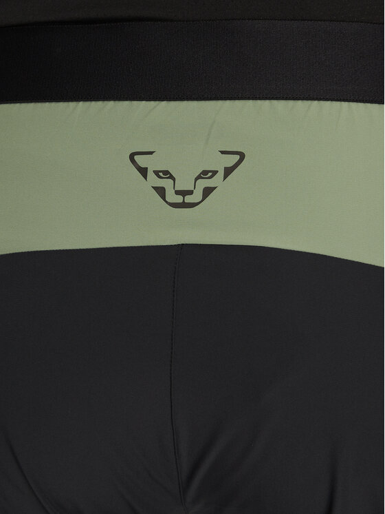 Dynafit Dynafit Outdoor hlače Transalper Light Dynastretch 08-0000071320 Zelena Regular Fit