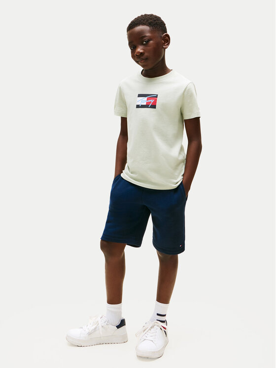 Tommy Hilfiger Tommy Hilfiger T-särk Script Flag KB0KB09725 Roheline Regular Fit
