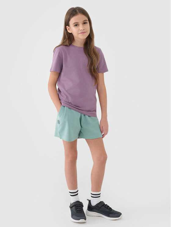 4F 4F Tričko BASIC+ Fialová Regular Fit