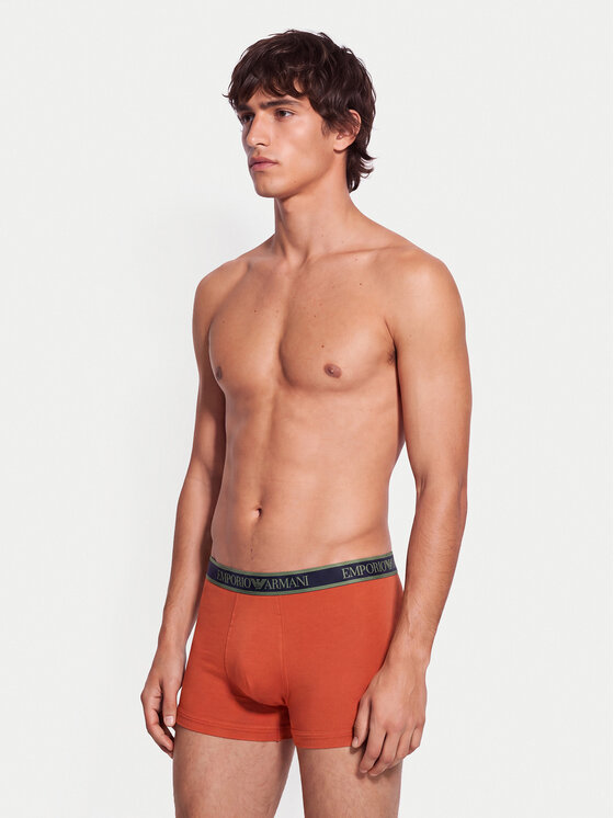Emporio Armani Underwear Emporio Armani Underwear Комплект боксерів EM000259 AF25019 M3041 Кольоровий