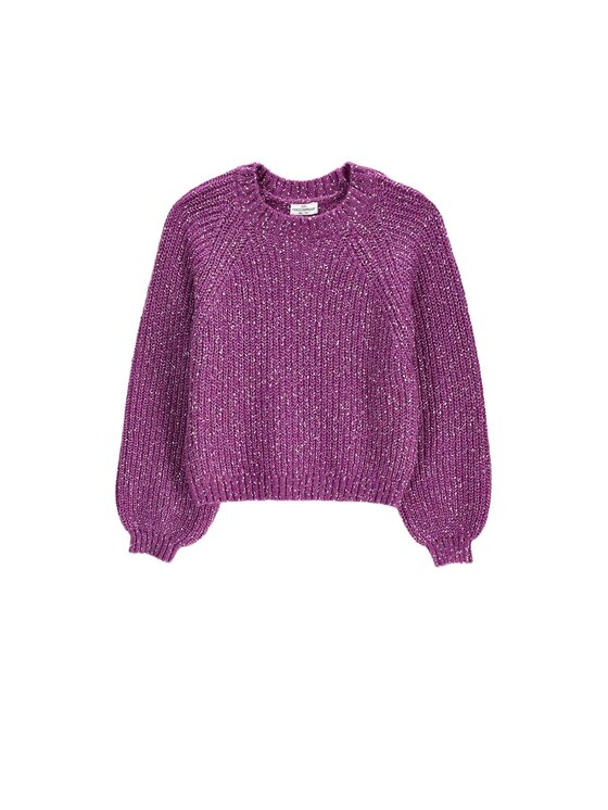 Coccodrillo Coccodrillo Sveter ZC6172103HGJ-016 Fialová Regular Fit