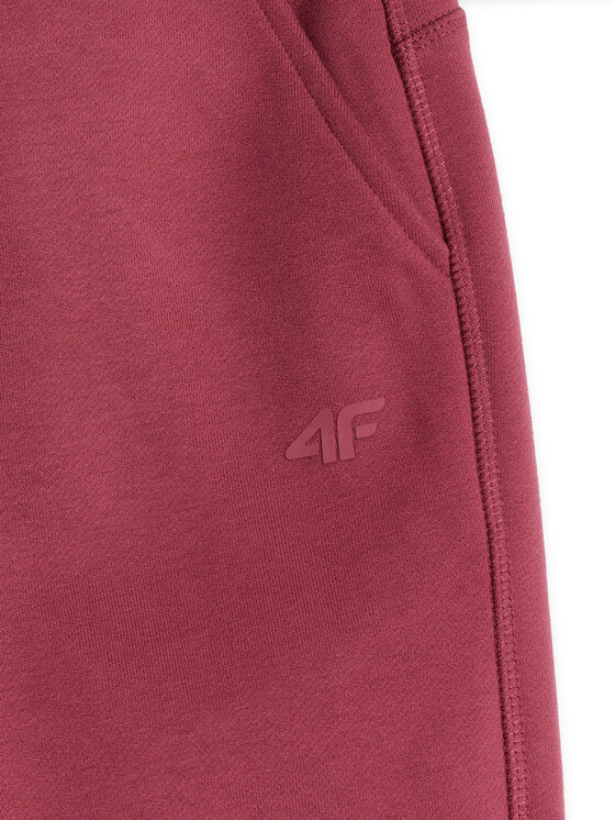 4F 4F Spodnie dresowe BASIC+ Bordowy Regular Fit