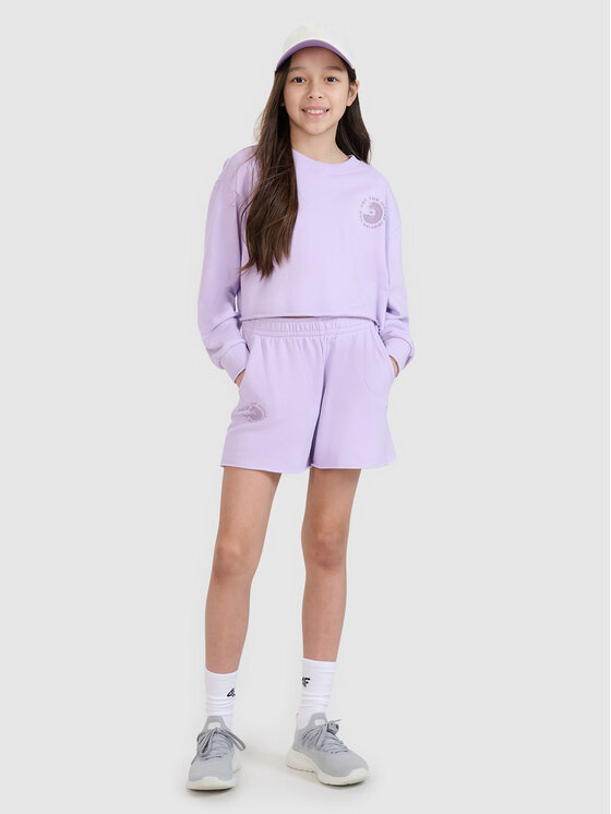 4F 4F Szorty sportowe SWELLS OF THE OCEAN Fioletowy jasny Regular Fit
