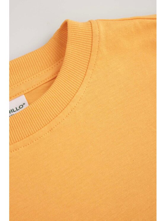 Coccodrillo Coccodrillo T-Shirt WC6143205MBJ-006 Pomarańczowy Regular Fit