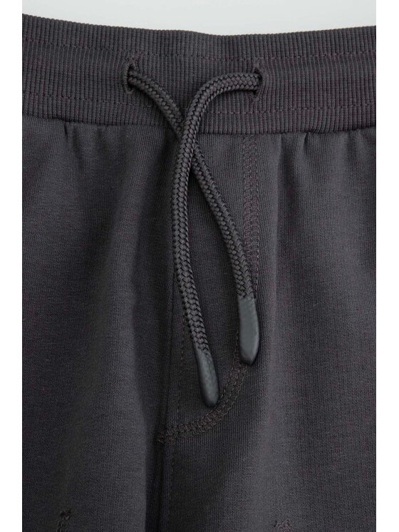 Coccodrillo Coccodrillo Bavlnené šortky WC6120501VBB-019 Sivá Regular Fit