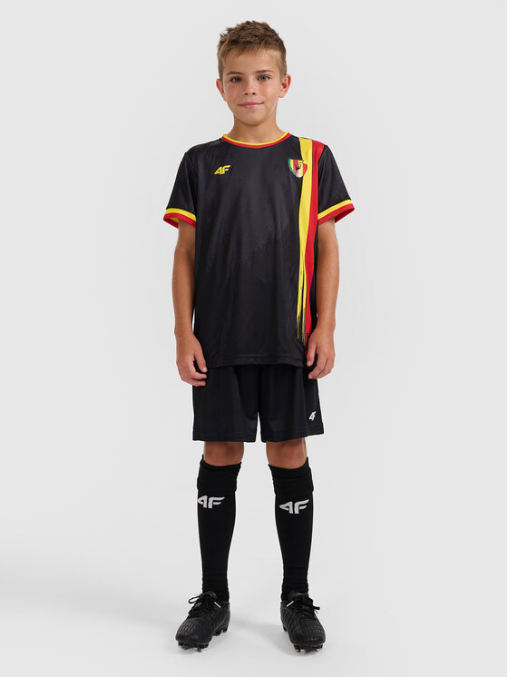 4F 4F Koszulka techniczna TEAMWEAR Kolorowy Regular Fit
