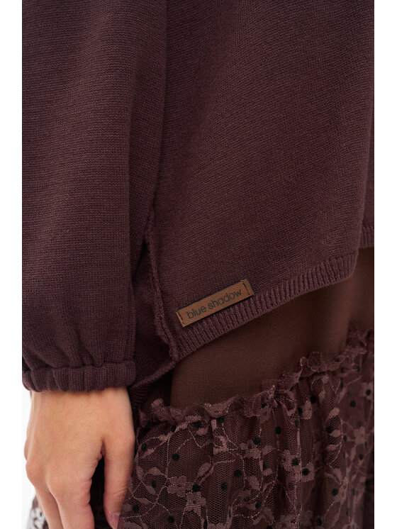 blue shadow blue shadow Sweter Tol Brązowy Regular Fit