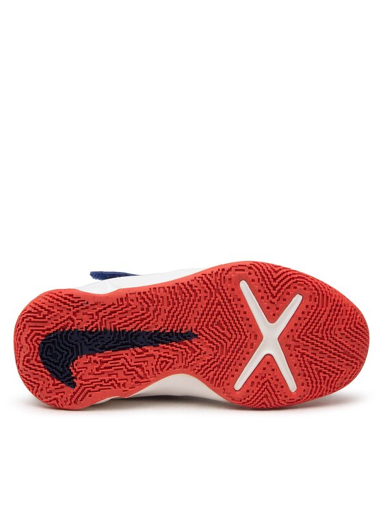 Nike Nike Basketbola apavi Team Hustle D 10 Flyease (GS) DD7303 103 Daudzkrāsains