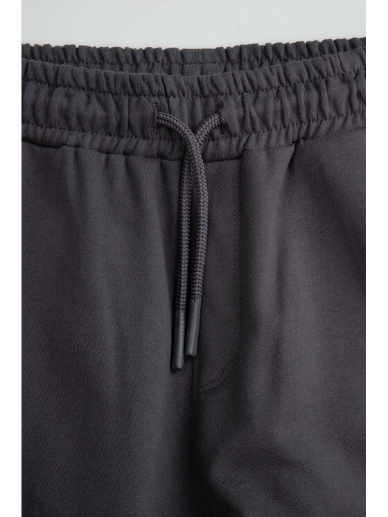 Coccodrillo Coccodrillo Spodnie dresowe ZC6120204WBJ-020 Szary Regular Fit