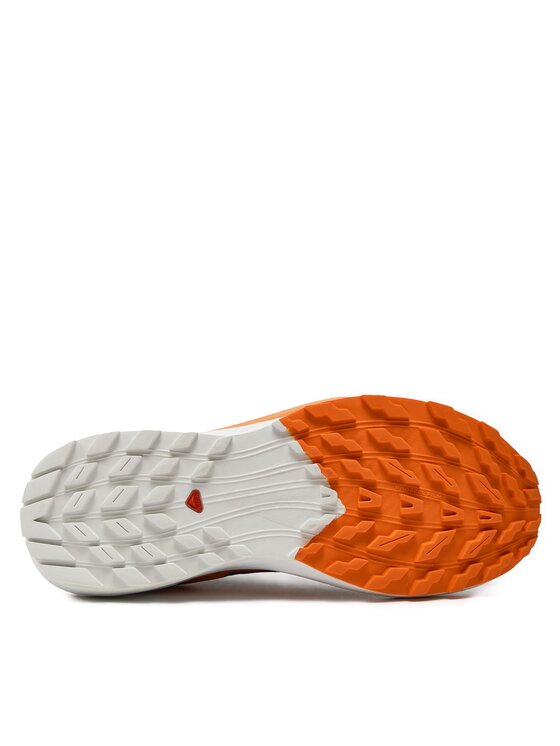 Salomon Salomon Jooksujalatsid Sense Ride 5 Gore-Tex L47459400 Hall