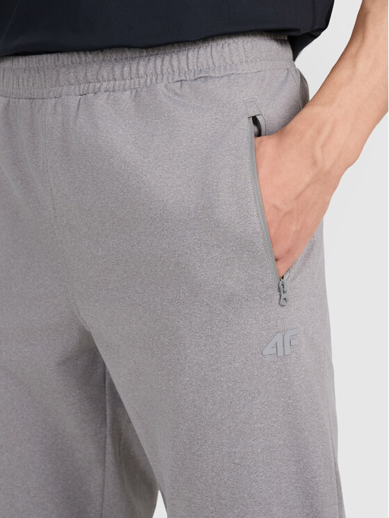 4F 4F Spodnie dresowe MULTI ACTIVE Szary Regular Fit