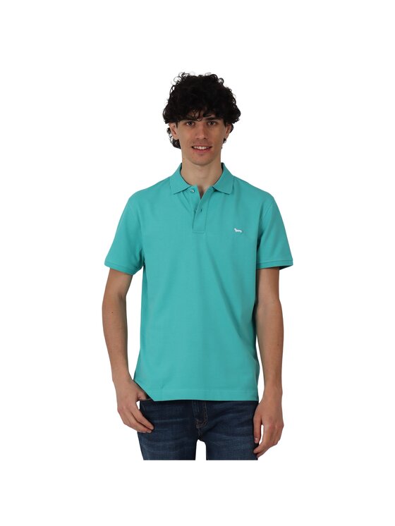 Harmont & Blaine Harmont & Blaine Polo LRN033020862 Verde Regular Fit