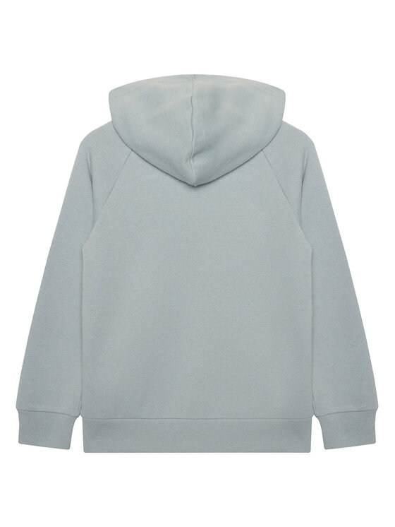 Under Armour Under Armour Mikina Ua Rival Cotton Full Zip 1357613 Sivá Loose Fit