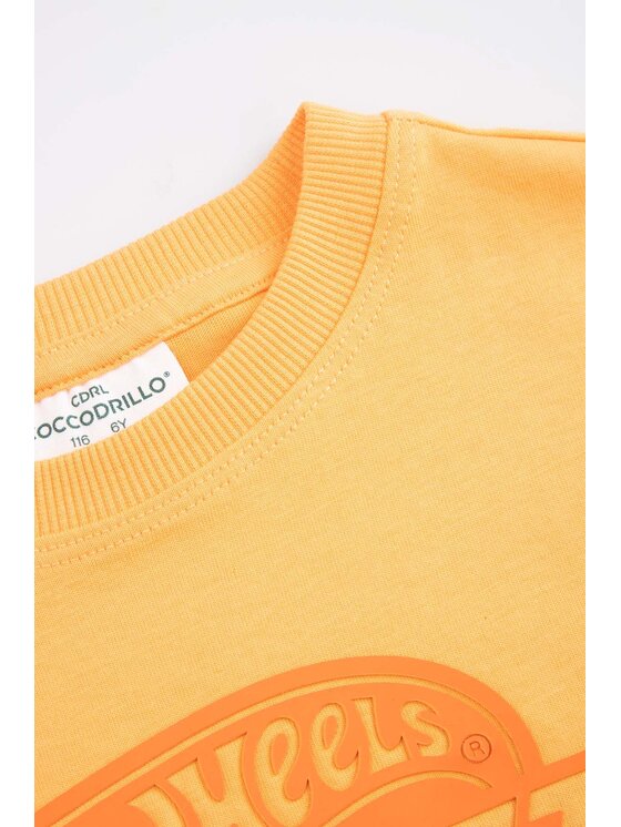 Coccodrillo Coccodrillo Tričko WC6143203LBD-006 Oranžová Regular Fit