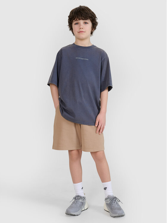 4F 4F Szorty sportowe BASIC+ Beżowy Oversize