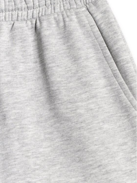 4F 4F Szorty sportowe BASIC+ Szary Oversize