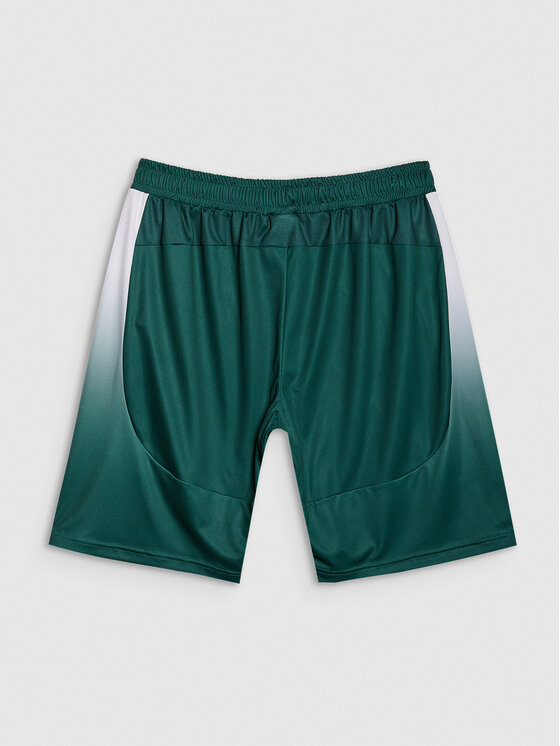 4F 4F Szorty sportowe TEAMWEAR Kolorowy Regular Fit