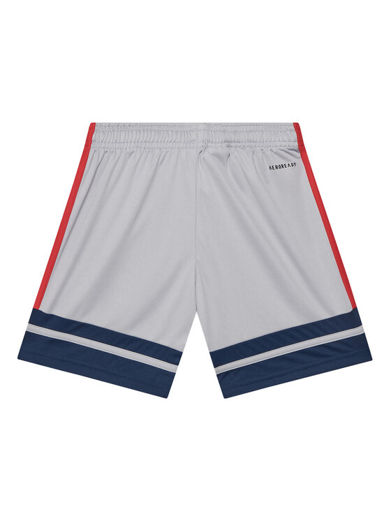 adidas adidas Спортивні шорти Squadra 25 JP3416 Сірий Regular Fit