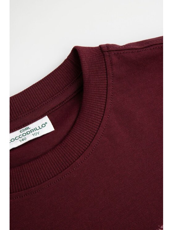Coccodrillo Coccodrillo Tričko ZC6143202FGJ-017 Bordová Regular Fit