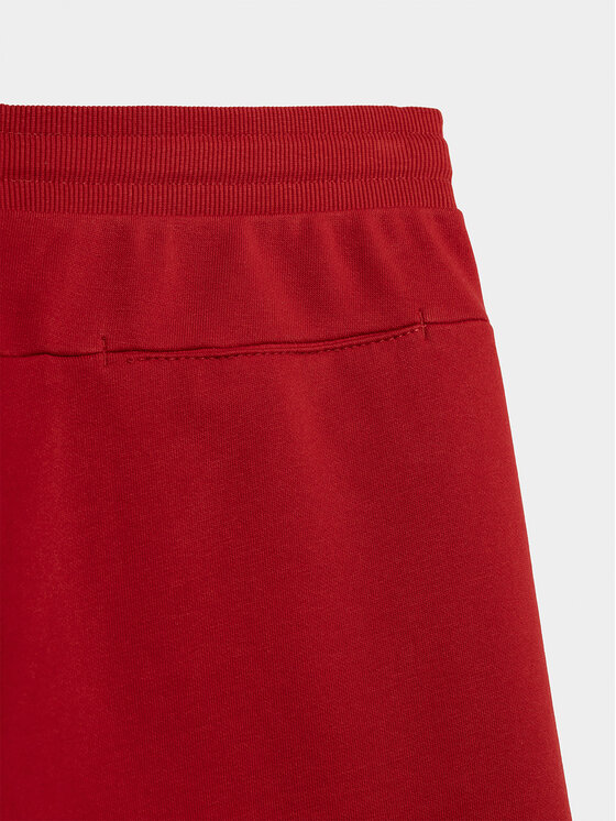 4F 4F Športové kraťasy 4FSS23TSHOM156 Červená Regular Fit