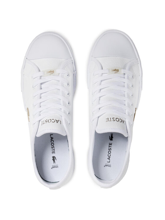 Lacoste ziane plus clearance