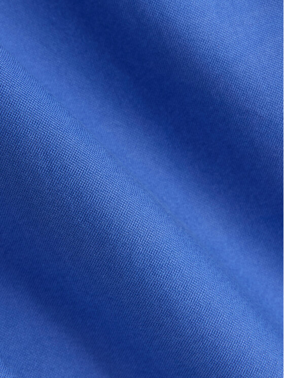 Polo Ralph Lauren Polo Ralph Lauren Košulja 710805564512 Plava Regular Fit