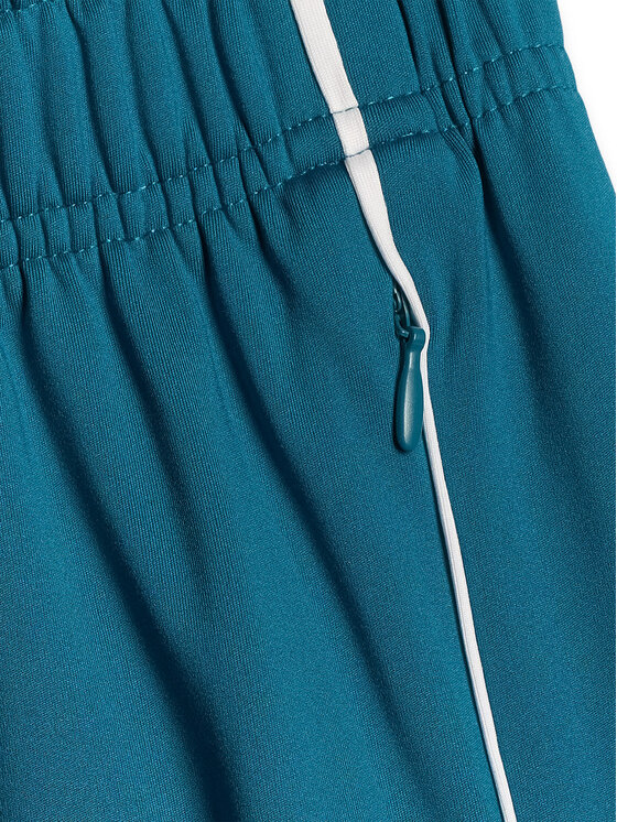 4F 4F Spodnie dresowe AQUA FORCE Turkusowy Loose Fit