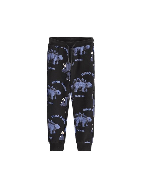Coccodrillo Coccodrillo Spodnie dresowe ZC6122701WBK-021 Czarny Regular Fit