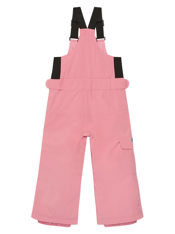 Roxy Roxy Slēpošanas bikses Lola ERLTP03012 Rozā Regular Fit