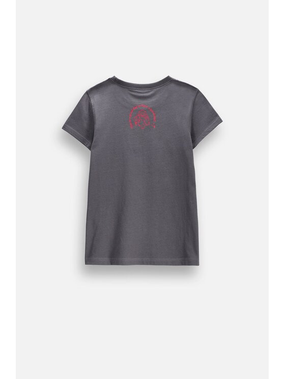 Coccodrillo Coccodrillo T-Shirt ZC6143202LGD-020 Szary Regular Fit