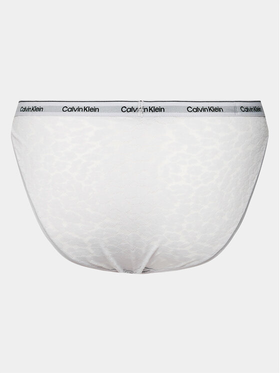 Calvin Klein Underwear Calvin Klein Underwear Klasické kalhotky 000QD5213E Fialová