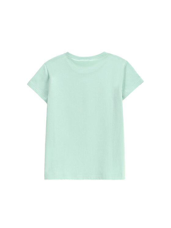 Coccodrillo Coccodrillo T-shirt WC5143221VGB Zelena Regular Fit