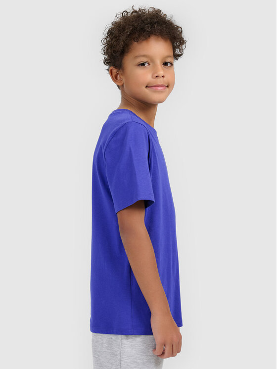4F 4F T-Shirt BASIC+ Niebieski Regular Fit