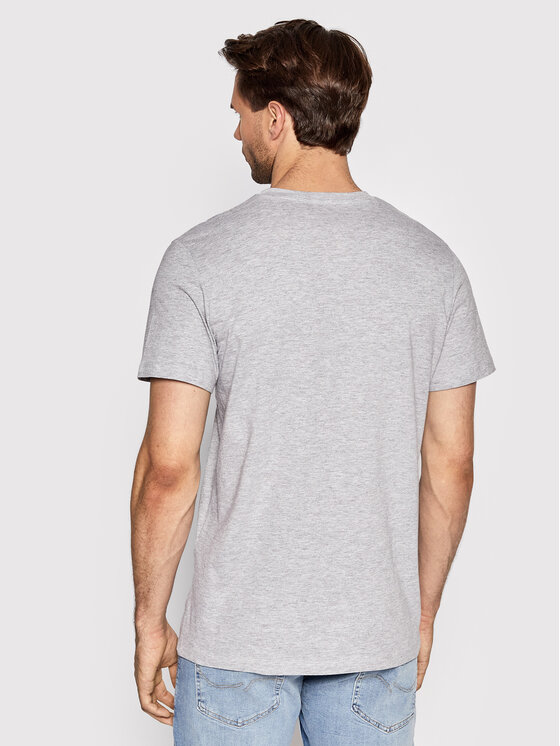 T-shirt Dan 12213767 Grigio Regular Fit