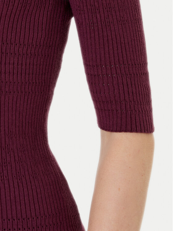 TWINSET TWINSET Pulover 252TP3240 Vișiniu Regular Fit