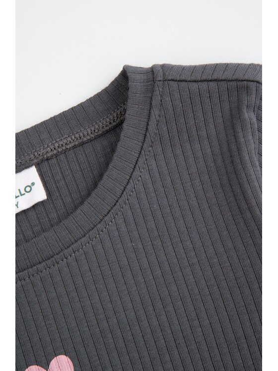Coccodrillo Coccodrillo Longsleeve WC6143103HGK-020 Szary Regular Fit