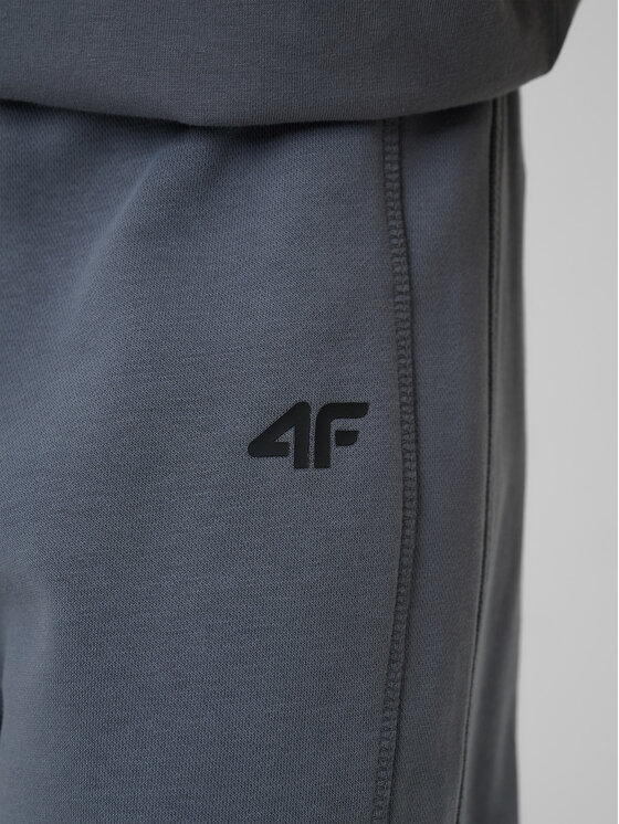 4F 4F Spodnie dresowe WILD WANDERLUST Szary ciemny Loose Fit