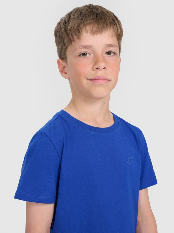 4F 4F T-Shirt BASIC+ Niebieski Regular Fit