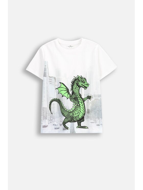Coccodrillo Coccodrillo T-Shirt WC5143203DBJ-001 Biały Regular Fit
