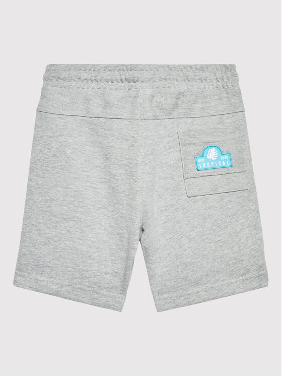 United Colors Of Benetton United Colors Of Benetton Športne kratke hlače 3BGUC900H Siva Regular Fit