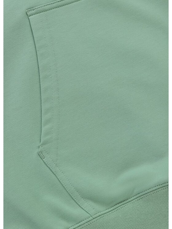 PITBULL PITBULL Bluza SMALL LOGO NUGGET Zielony Regular Fit